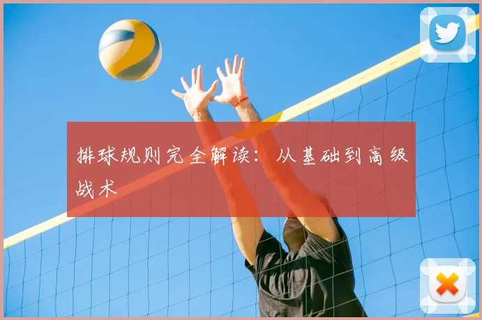 排球规则完全解读：从基础到高级战术