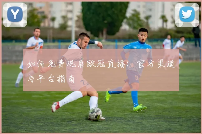 如何免费观看欧冠直播：官方渠道与平台指南